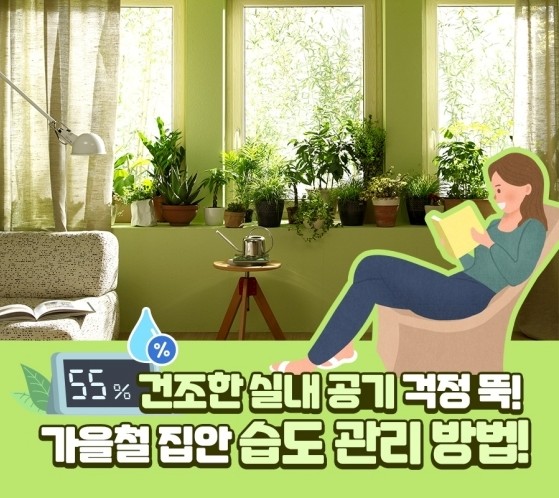 건조한 실내공기 집안 습도 관리방법! 건조한 실내공기 집안 습도 관리방법!