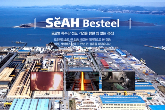 <b>세아베스틸</b> 9년 <b>대표</b> 이태성, 물적분할로 중대재해 책임 면했다