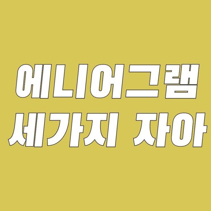  [에니어그램] 에니어그램의 세 가지 자아, 인간 성격의 '중심'들