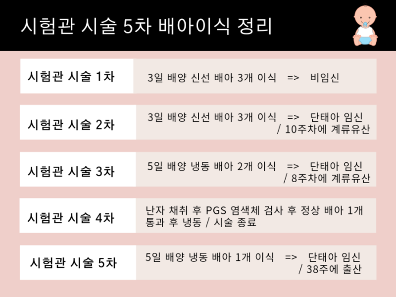 시험관 신선 1차 성공 | 시험관 이식후 임신 극초기증상 총정리