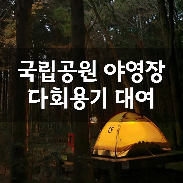  캠핑장에서 다회용기 대여 서비스 시작. 치악산 월악산 국립공원 야영장 시범사업