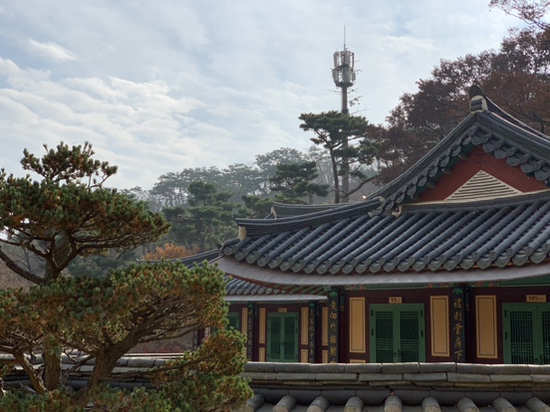 강화도 : 전등사 템플스테이 적묵당 휴식형 1박2일 내돈내산 후기