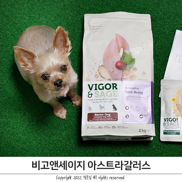 노령견사료 기호성 좋은 비고앤세이지 아스트라갈러스 요크셔테리어 노견사료 노령견사료 기호성 좋은 비고앤세이지 아스트라갈러스 요크셔테리어 노견사료