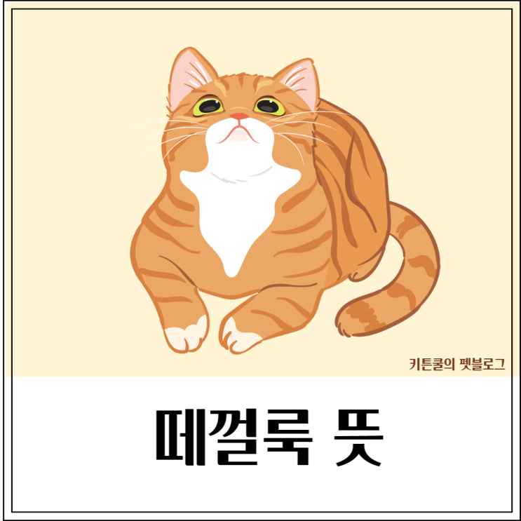  떼껄룩 뜻, 고양이를 때껄룩으로 부르는 이유