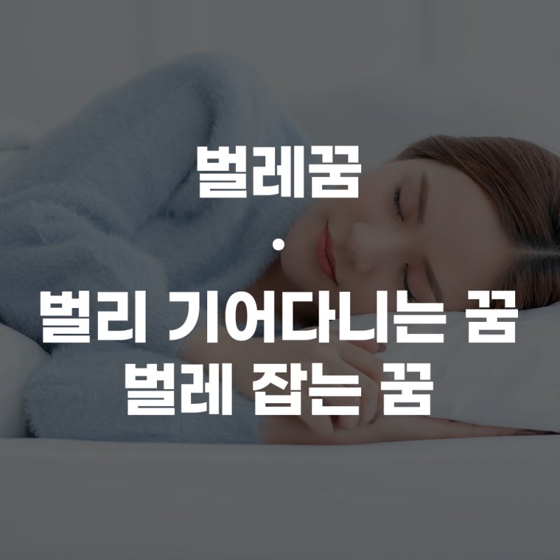벌레꿈 사마귀꿈해몽 벌레가 기어다니는 꿈 / 벌레잡는꿈 / 사마귀잡는꿈