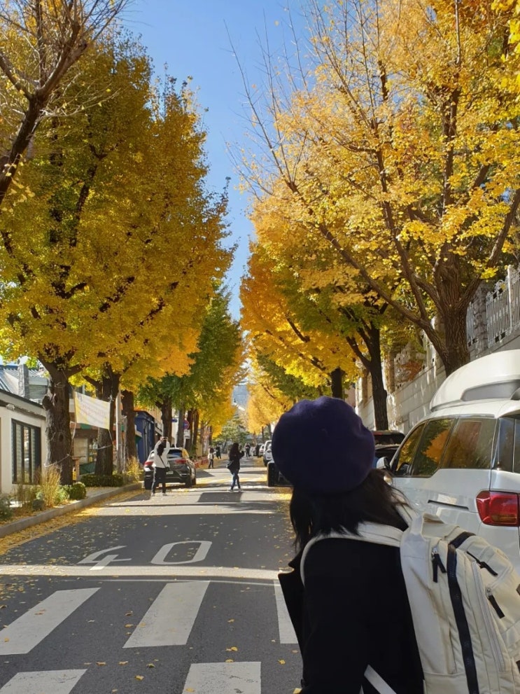 가을 느낌 한가득 느꼈던 2박 3일 서울 여행 1일차