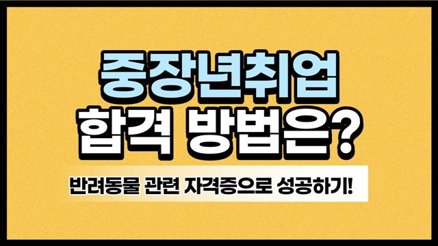 중장년취업 반려동물 관련 자격증 취득해서 성공하기 중장년취업 반려동물 관련 자격증 취득해서 성공하기