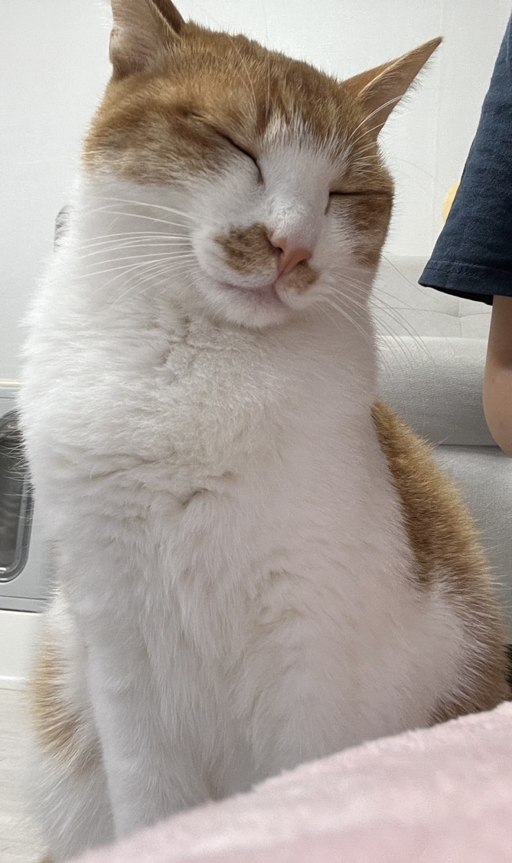  주간현교 24