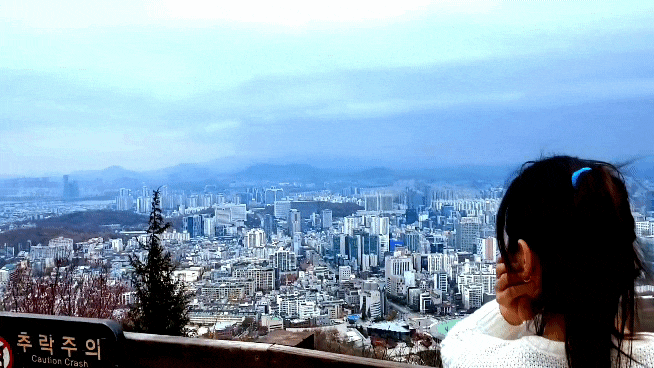  [ 서울산추천 강추 ] 우면산 293m 높지 않은 초보자 산 ️ 우면산등산코스 소개