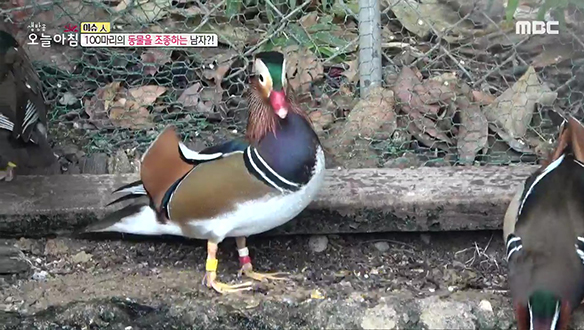 생방송 오늘 아침 11월 16일 1. “도와주세요” 폭행당한 구급... 