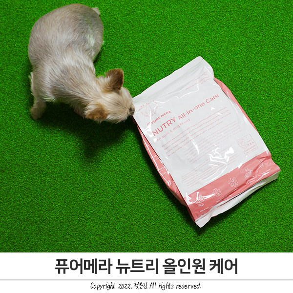 애견사료 강아지가 밥을 안먹을때는 퓨어메라 사료 만나보세요 애견사료 강아지가 밥을 안먹을때는 퓨어메라 사료 만나보세요