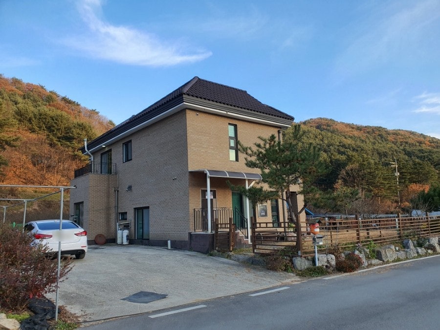 청산블루베리 사진 5