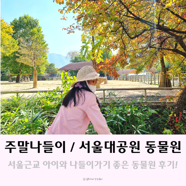 주말 나들이 : 서울대공원 동물원 아이와 재방문 후기