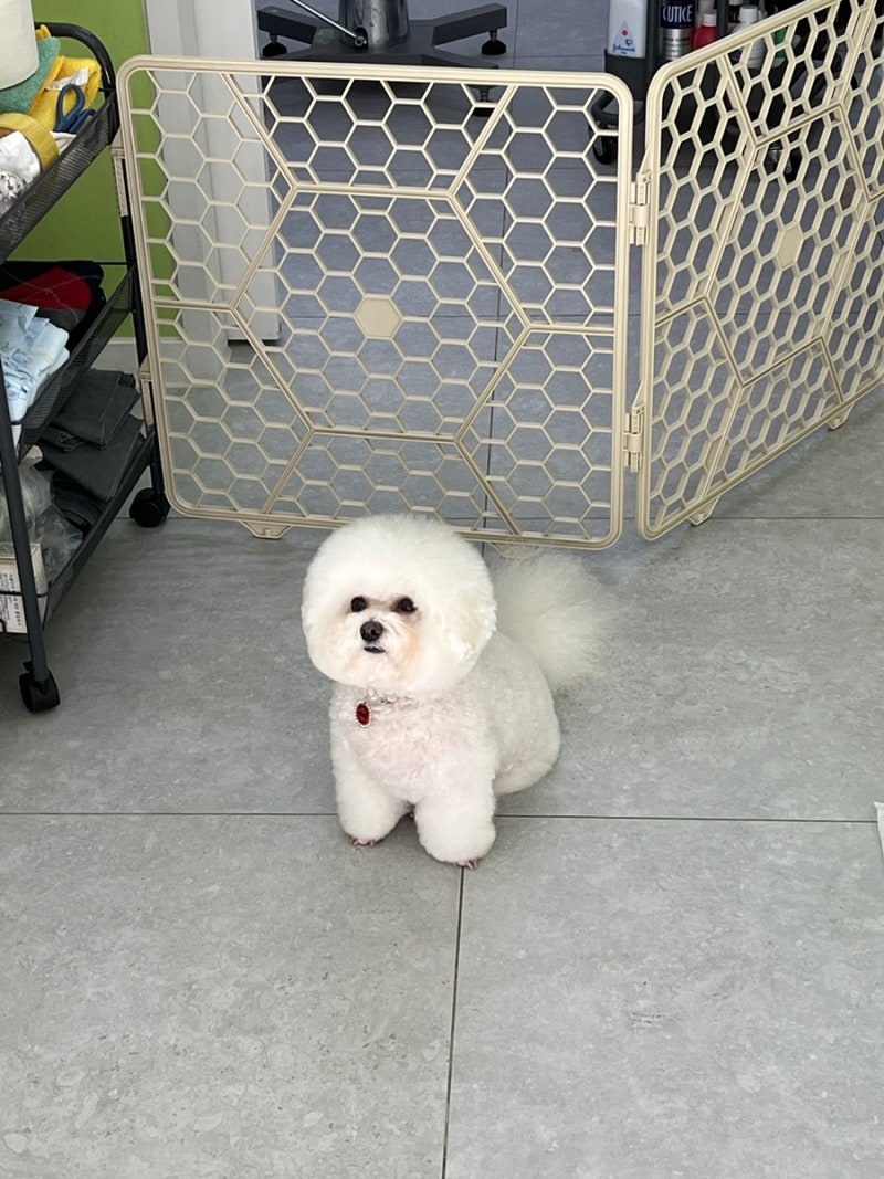 사진 2