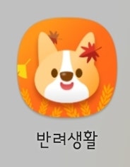  반려인, 집사를 위한 앱 추천 (반려생활, 하트독, 아이디어스, 펫나우, 여다, 티티케어)