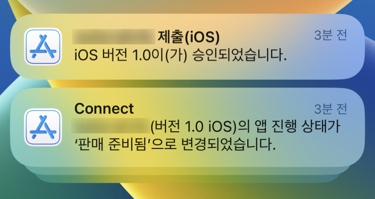 [iOS] iOS 앱스토어 심사를 드디어 통과하면서... (회고록)