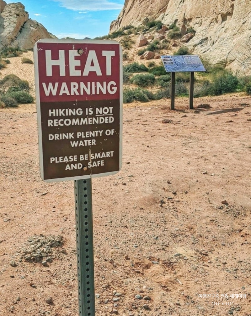 태안 청산수목원 지난 가을정취 : 네이버 블로그, image size:800x1004