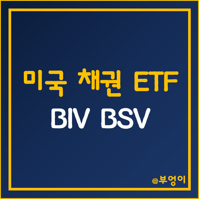 미국 채권 ETF - BIV, BSV 주가 및 배당수익률 (채권형 및 국채 인덱스 펀드 투자 방법)