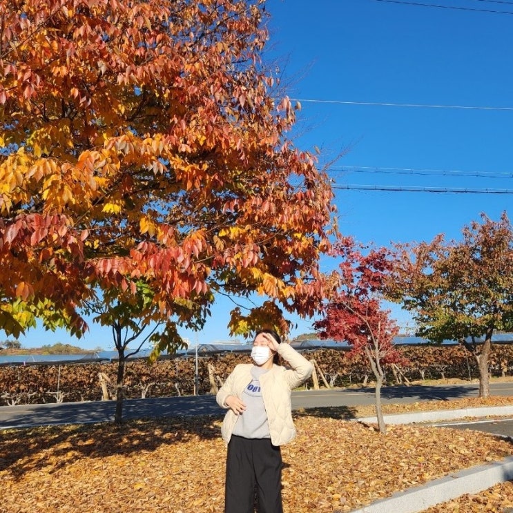  [블챌] 20. 가을이다!