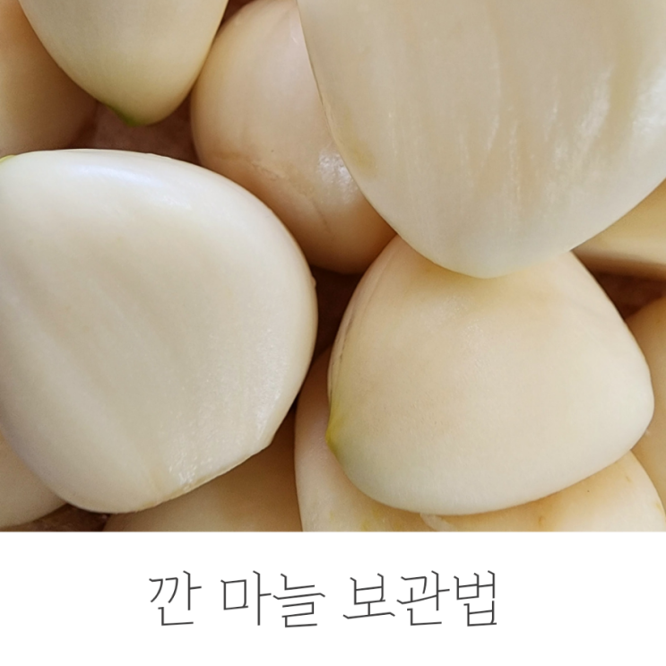  깐마늘 보관법 *통마늘 쉽게 까는 법