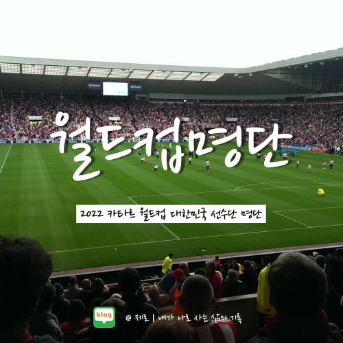  2022 카타르 월드컵 대한민국 선수단 명단 알아보자