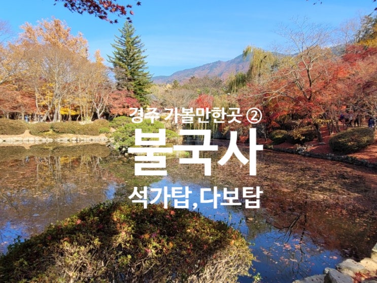  [가을과 겨울 사이 경주 아이와 가볼 만한 곳] 단풍 명소 불국사