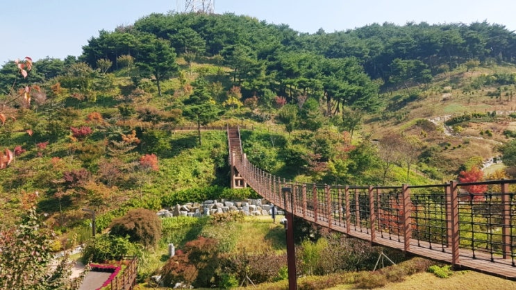  서울 근교 나들이: 당진 가볼만한곳 삼선산수목원 산책 소풍