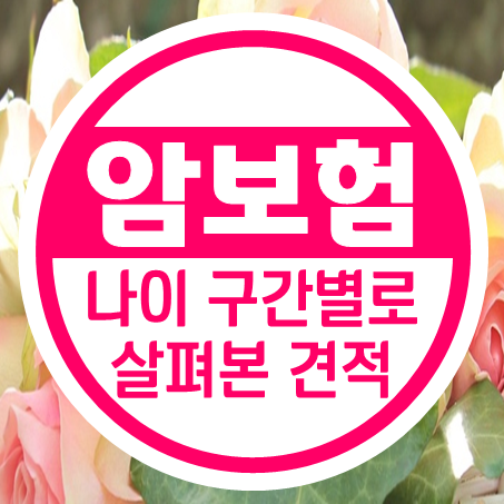  나이 구간별로 살펴본 온라인암보험 견적