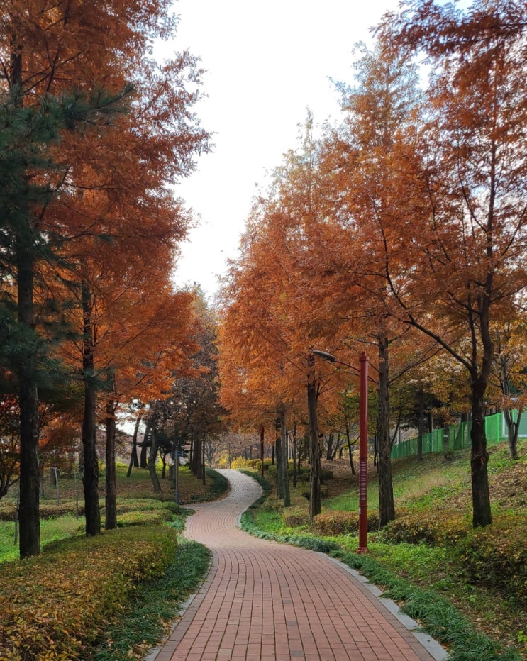 김제 가볼 만한 곳, 김제 시민문화 체육공원(김제 시민문화 공원) 풍경(11월 15일)