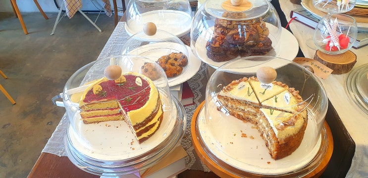  우도 카페살레 후기 (내돈내산 맛집)