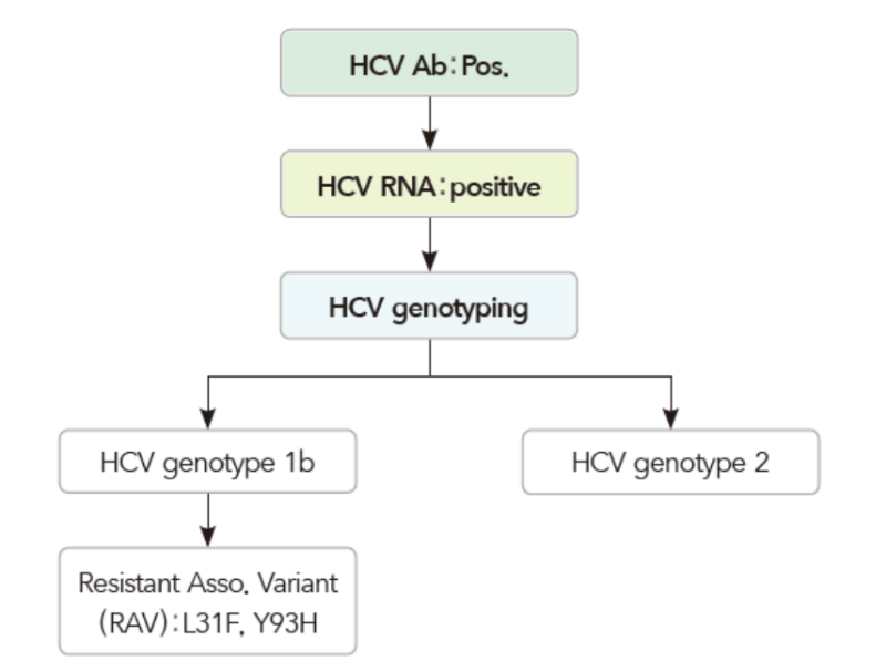 만성 C형간염(hepatitis C): 진단, 치료, 급여기준 - 혈청검사, HCV, Ab, RNA, genotype, 간생검 ...