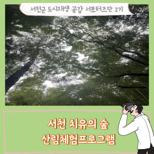  [서포터즈][충남서천] 서천치유의숲 산림체험프로그램