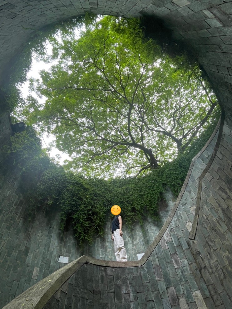 싱가포르 여행 센토사 스카이라인 루지, 포트 캐닝 파크 트리 터널 후기