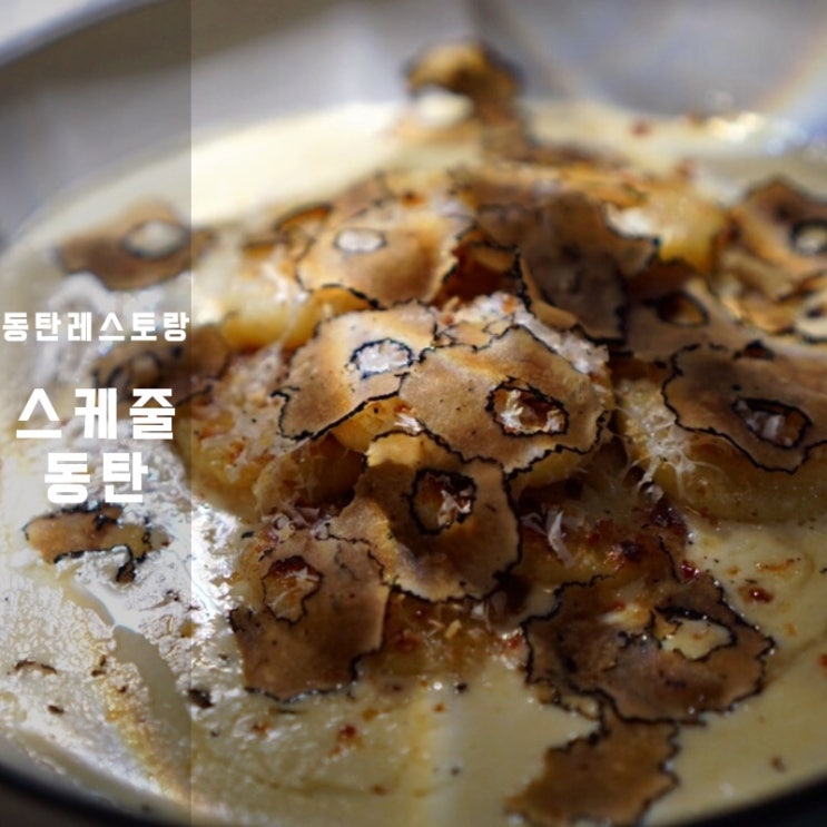  롯데백화점 스케줄동탄 바질페스토 파스타 트러플크림뇨끼