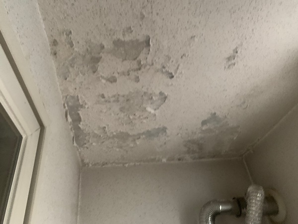 수원 연무동 빌라 세탁실 누수 - 천정에 페인트가 조금씩 떨어지고 있어요!
