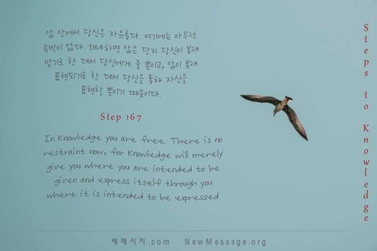 제167 계단: 앎과 함께 있으면, 나는 세상에서 자유롭다 With Knowledge I am free in the world.