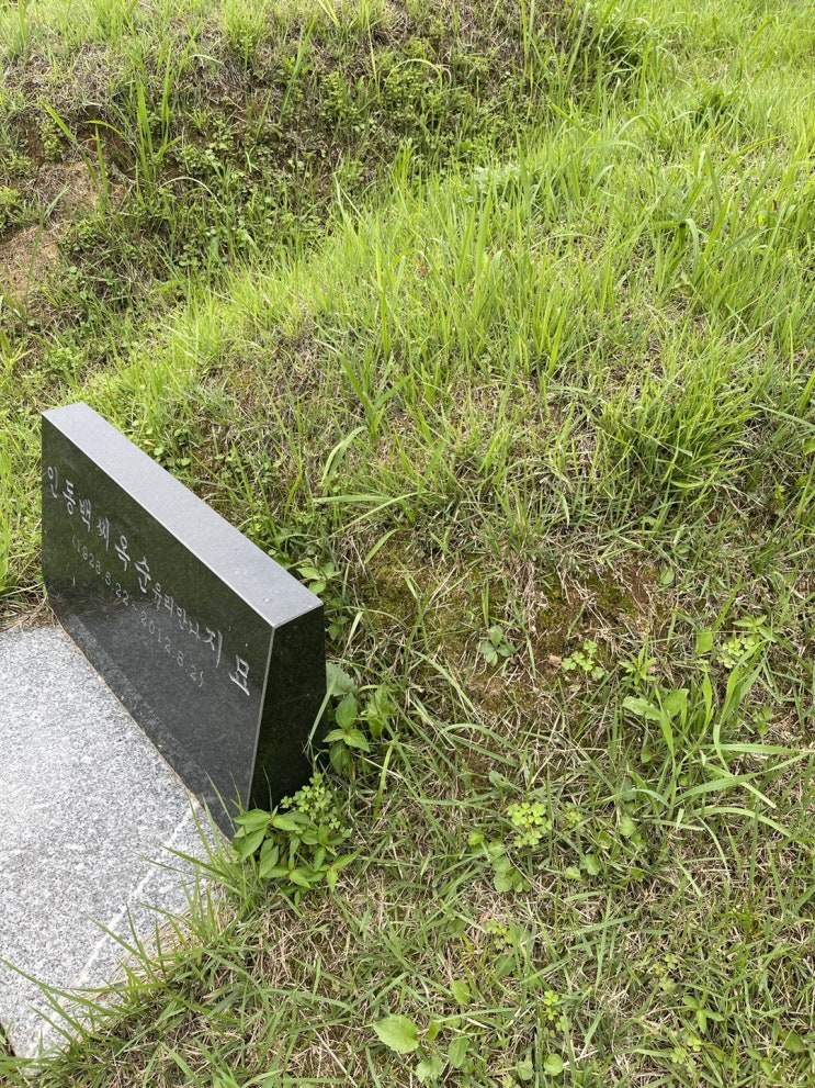  삶이란 시련과 같은 말이라는 가사