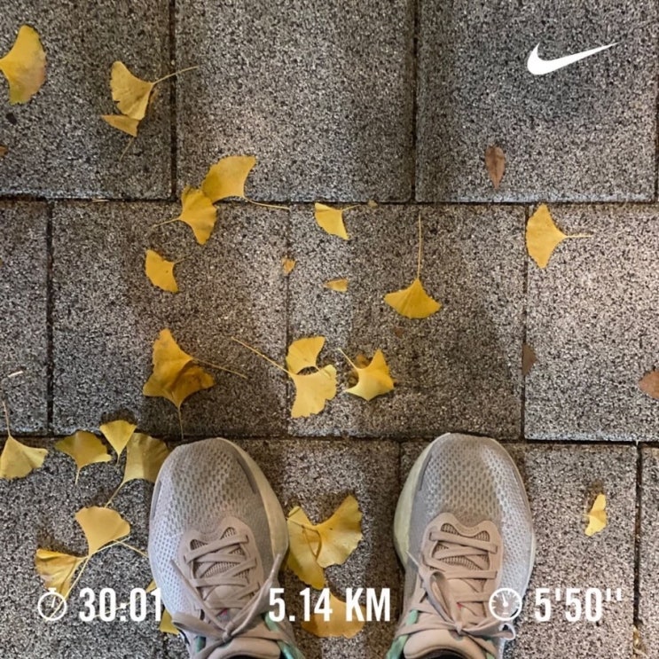  러닝로그_221116