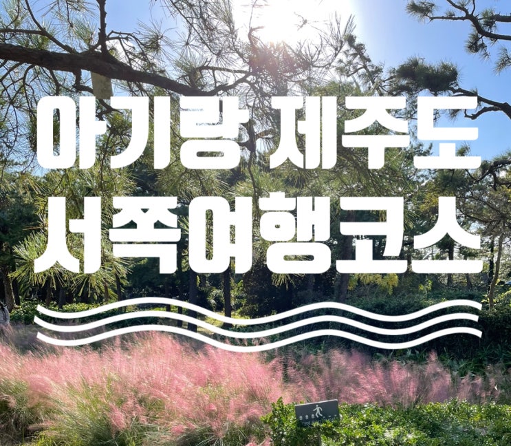  아기랑 제주도 여행 서쪽 여행코스 추천해요. 나만 알고싶은 곳 모두 공개합니다!!