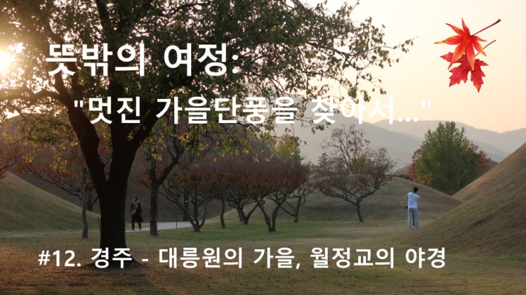 #12. 경주 - 대릉원의 가을, 월정교의 야경 #12. 경주 - 대릉원의 가을, 월정교의 야경