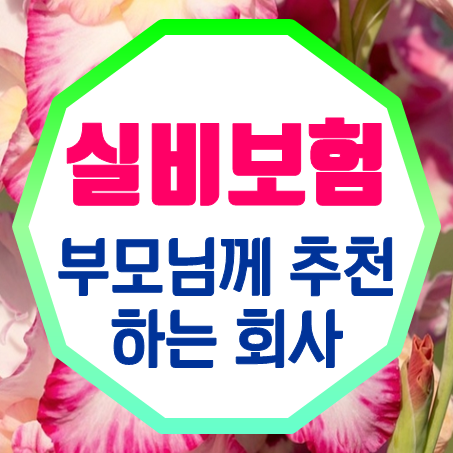  부모님실비보험 추천해 드리기 적합한 회사는?