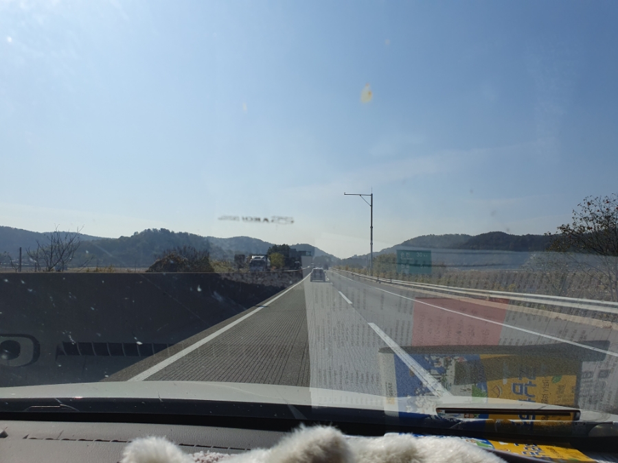 해지연 사진 2