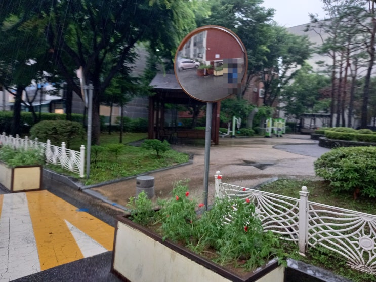 경기도 용인시 제 77호 샛별공원, 제 78호 반디공원 사진입니다.