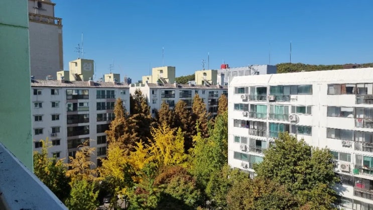  노원구 강남구 관악구 냄새 없는 욕조 코팅의 변화 줄눈의 아름다운 화장실의 색채