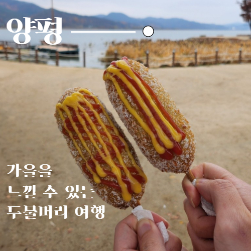  가을에 가기 좋은 서울 근교 여행 두물머리 (feat.다육이)