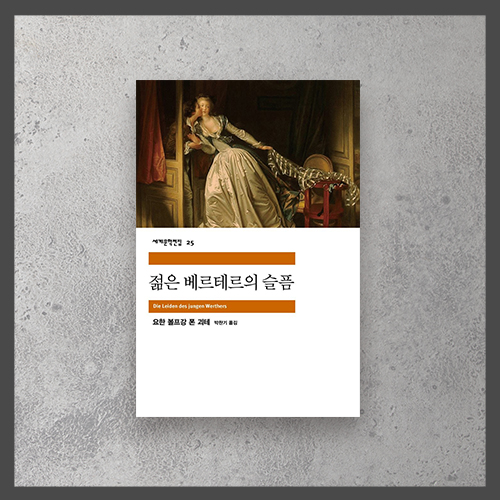  <젊은 베르테르의 슬픔 ㅡ 괴테>