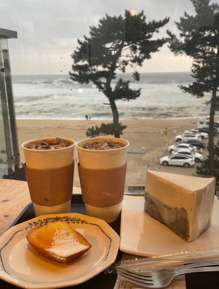  강릉 안목해변 [ 커피아메리카 ]