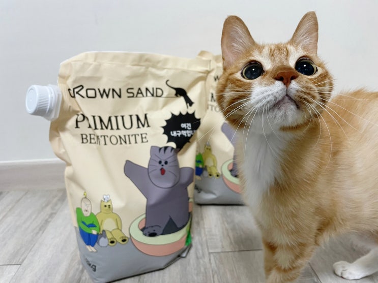  벤토나이트 고양이 모래 추천. 크라운, 짐승친구들