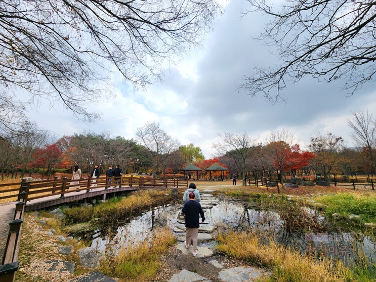  한밭수목원 가을 점심시간에 산책하기 /  대전 가볼만한곳, 이용 운영시간