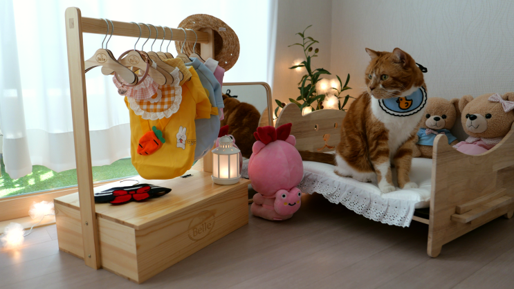  고양이 강아지 옷장 케이프 보관하기 좋았던 벨르 고양이행거 추천